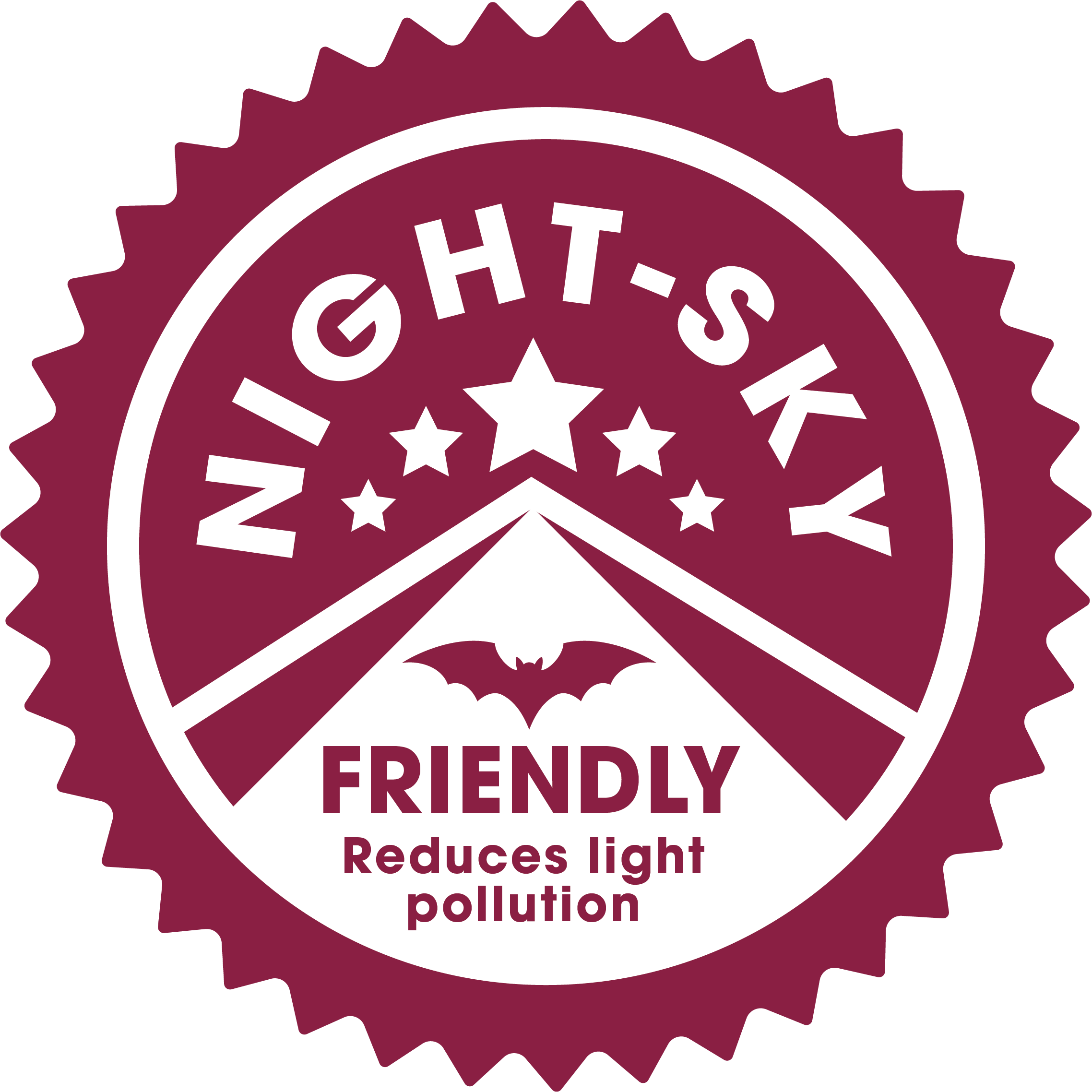 Night Sky Friendly